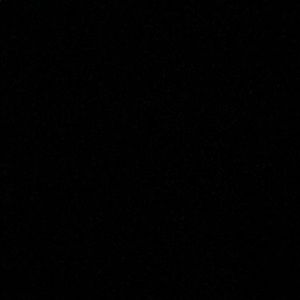 Meet your Posher, Precious